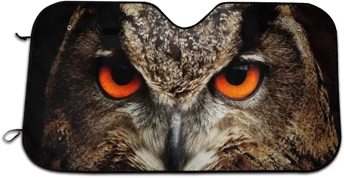 Foruidea Funny Raccoon Car Windshield Sun Shade Auto Sunshade for Car Truck SUV-Blocks Uv Rays Sun Visor Protector-Keeps Your Ve